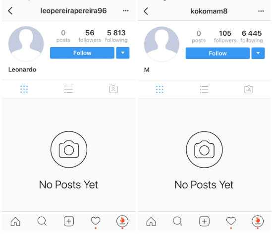 Example of bots pages on Insta